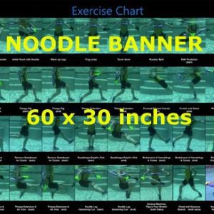 Noodle Chart