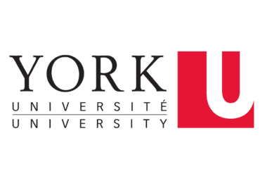 York University