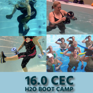 *Onsite* 16.0 CEC 16.0 hour CEC Boot Camp, Circuit Training for All Levels, Noodle Gym, Bands, Balls and Bells Workshop Re-certification Video & Quiz
